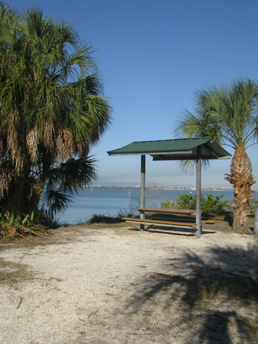 A secluded picnic table over-looking Boca Ciega Bay in St Pete FL.